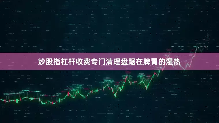 炒股指杠杆收费专门清理盘踞在脾胃的湿热